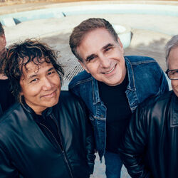 Picture of The Rubinoos