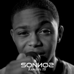 Picture of Sonnos