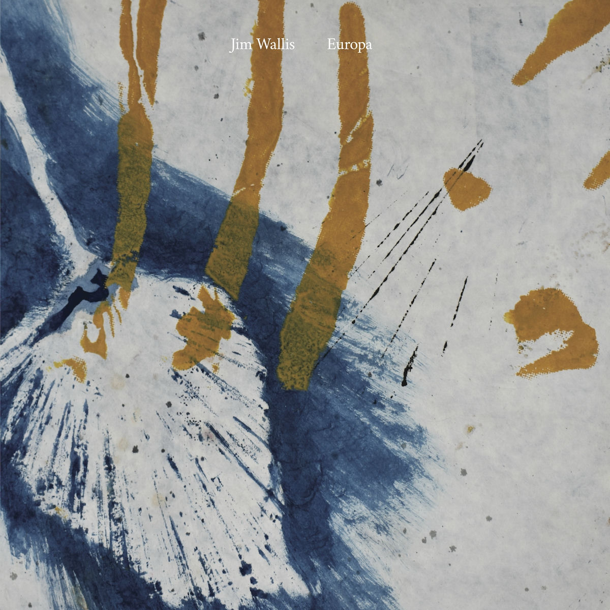 Artist picture of Jim Wallis