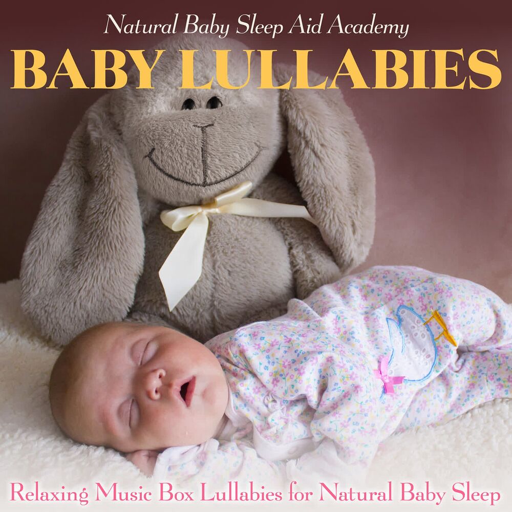 Picture of Natural Baby Sleep Aid Academy