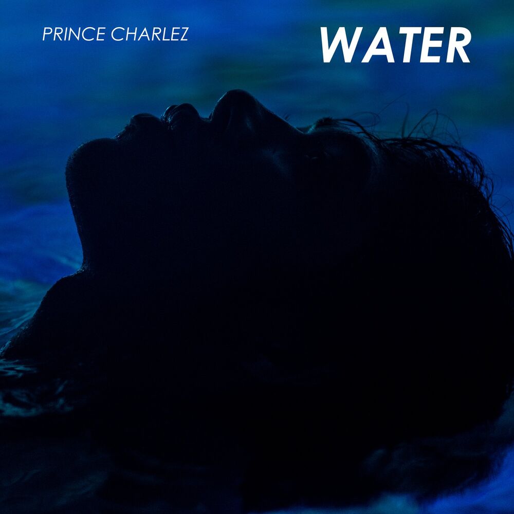Picture of Prince Charlez