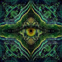 Liquid Bloom