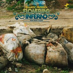 Picture of Flowering Inferno