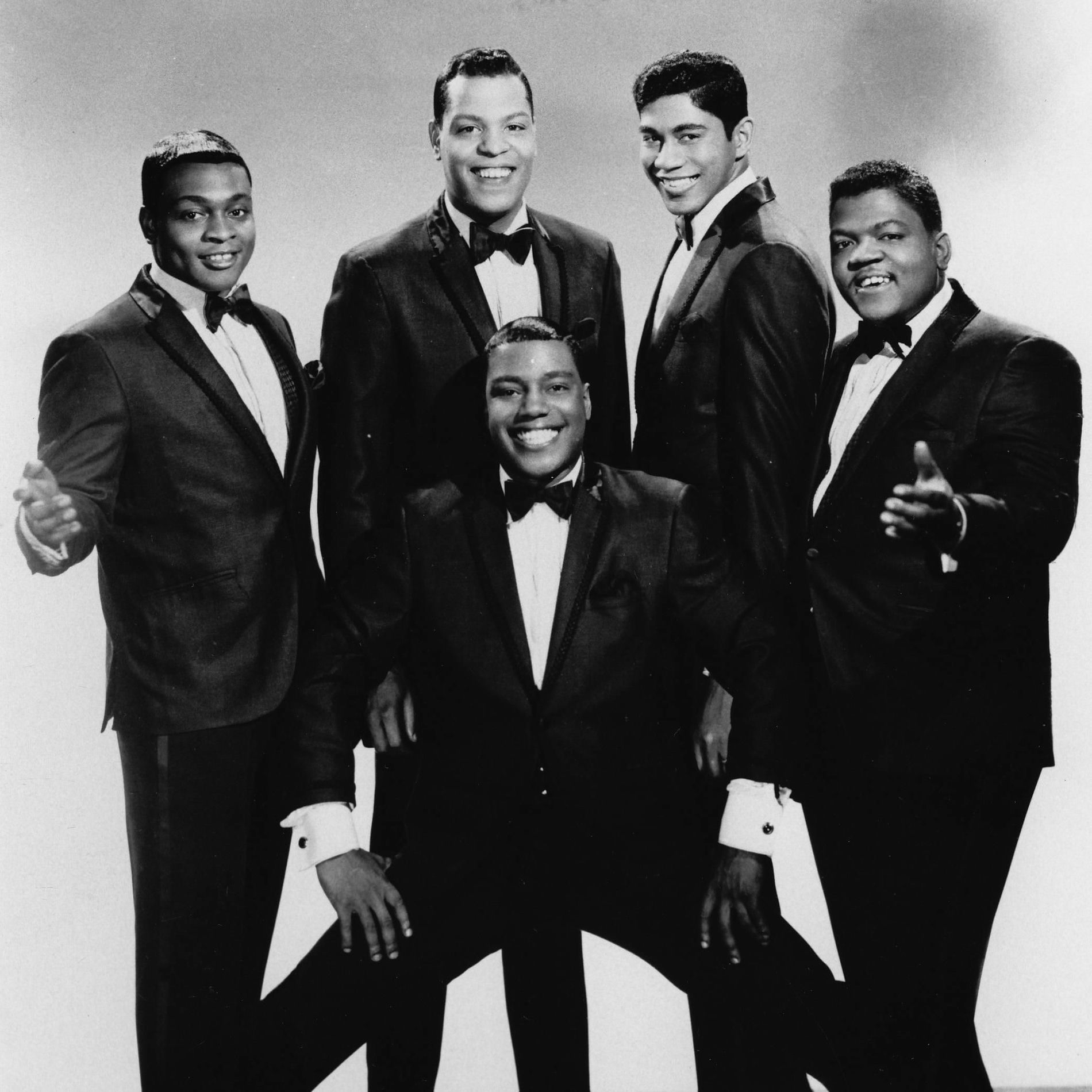 Artist picture of The Vibrations
