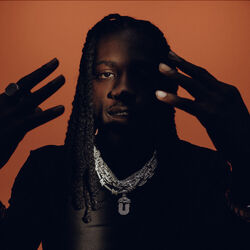 Picture of Black Fortune
