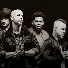 Daughtry