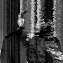 Picture of Carter Tutti