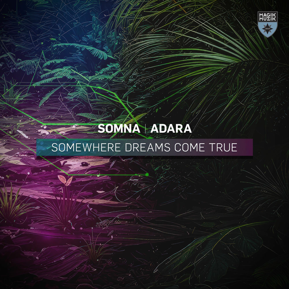 Photo de l'artiste Somna