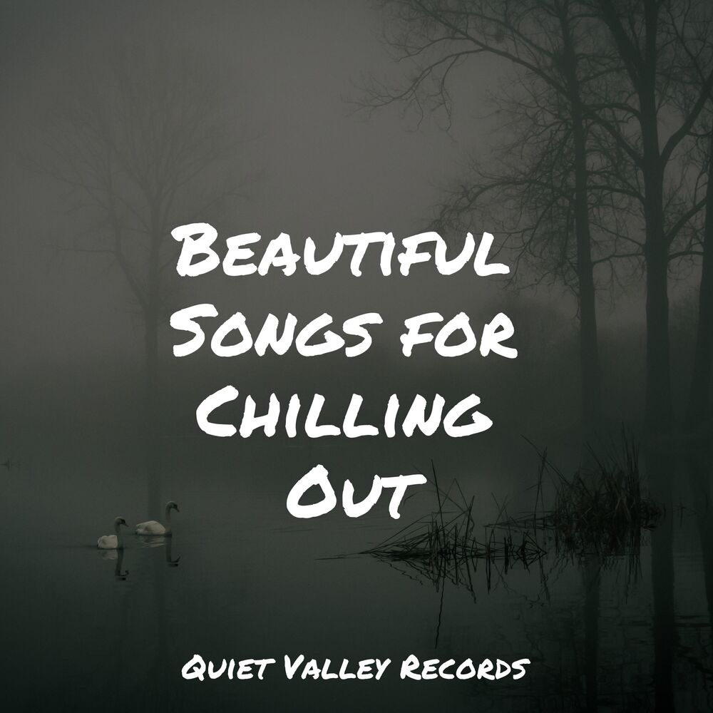Picture of Best Kids Songs