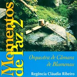 Picture of Orquestra de Câmara de Blumenau