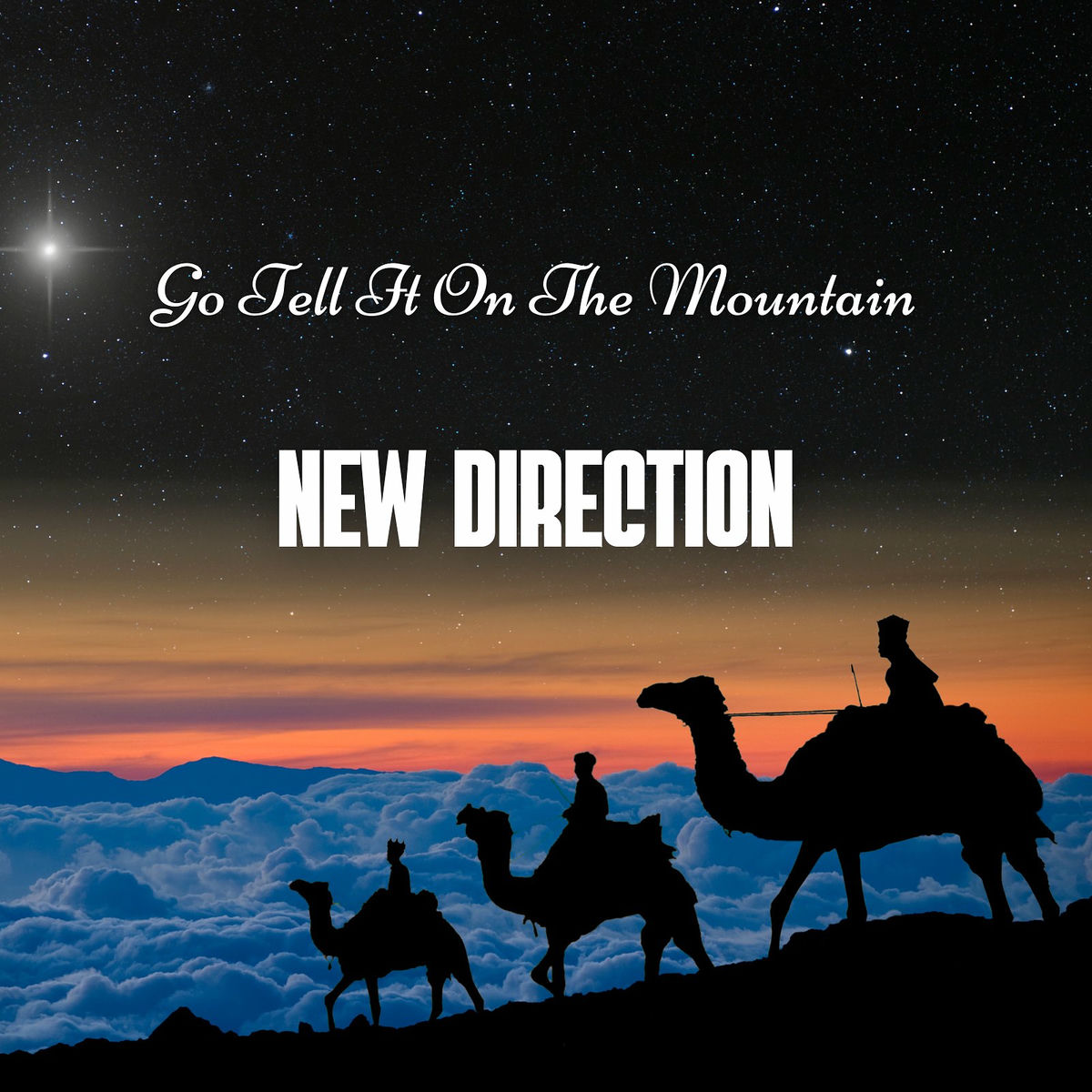 Artist picture of New Direction
