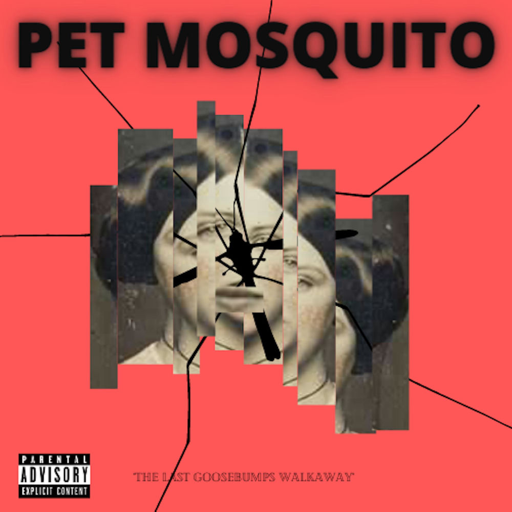 PET MOSQUITO