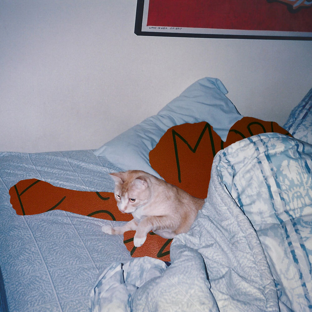Picture of Beshken