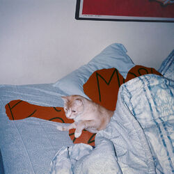 Picture of Beshken
