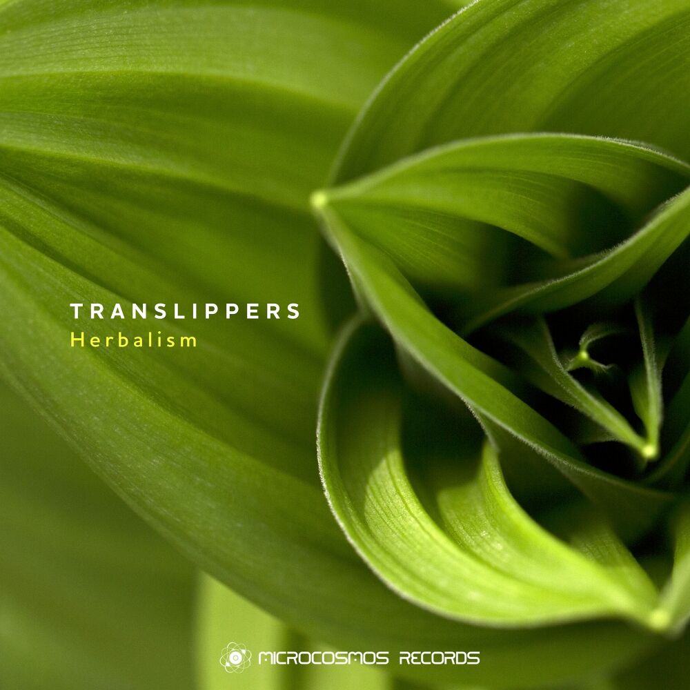 Picture of Translippers