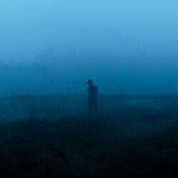 Picture of nightblure