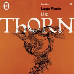 Picture of Large Plants