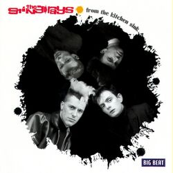 Picture of The Sting-rays