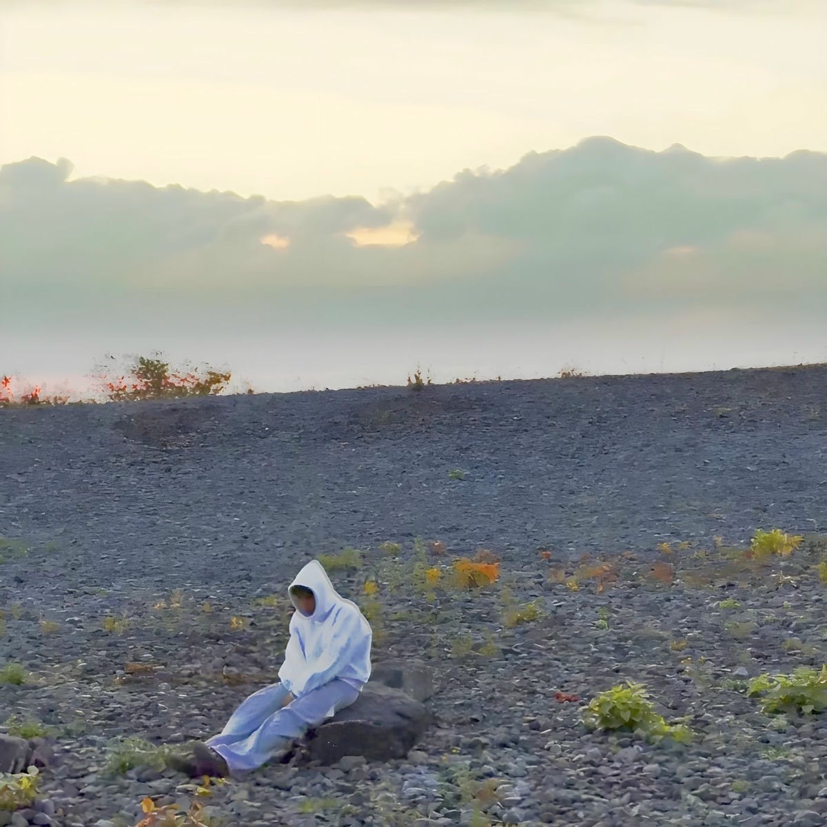 Artist picture of nullsechsroy