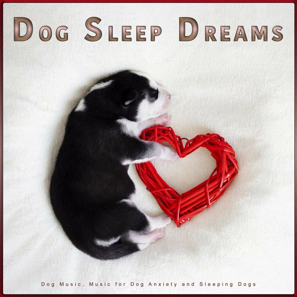 Picture of Calming Music for Dogs