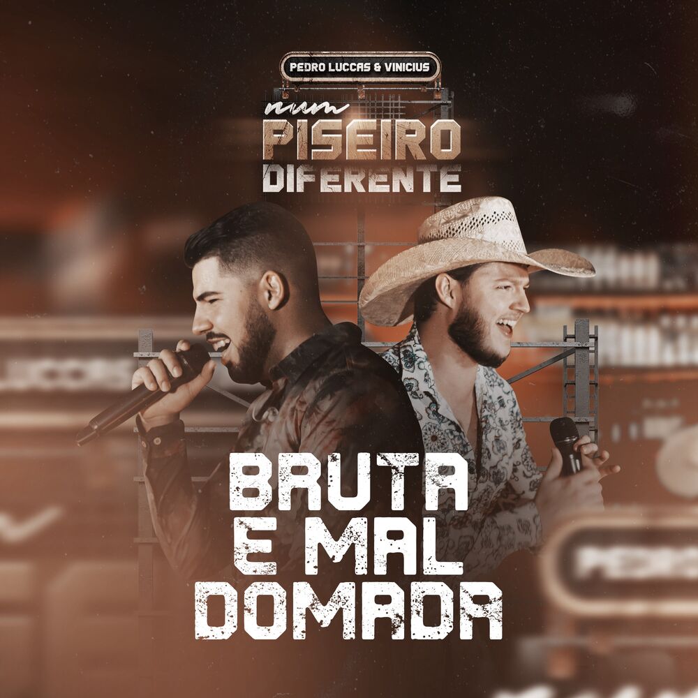Picture of Pedro Luccas e Vinicius