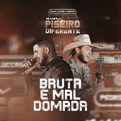 Picture of Pedro Luccas e Vinicius