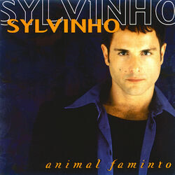 Picture of Sylvinho