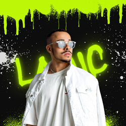 Picture of lamic