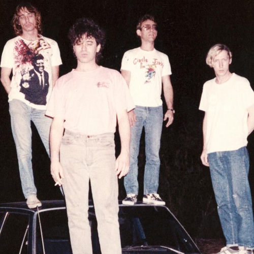Pink Lincolns: albums, songs, concerts | Deezer