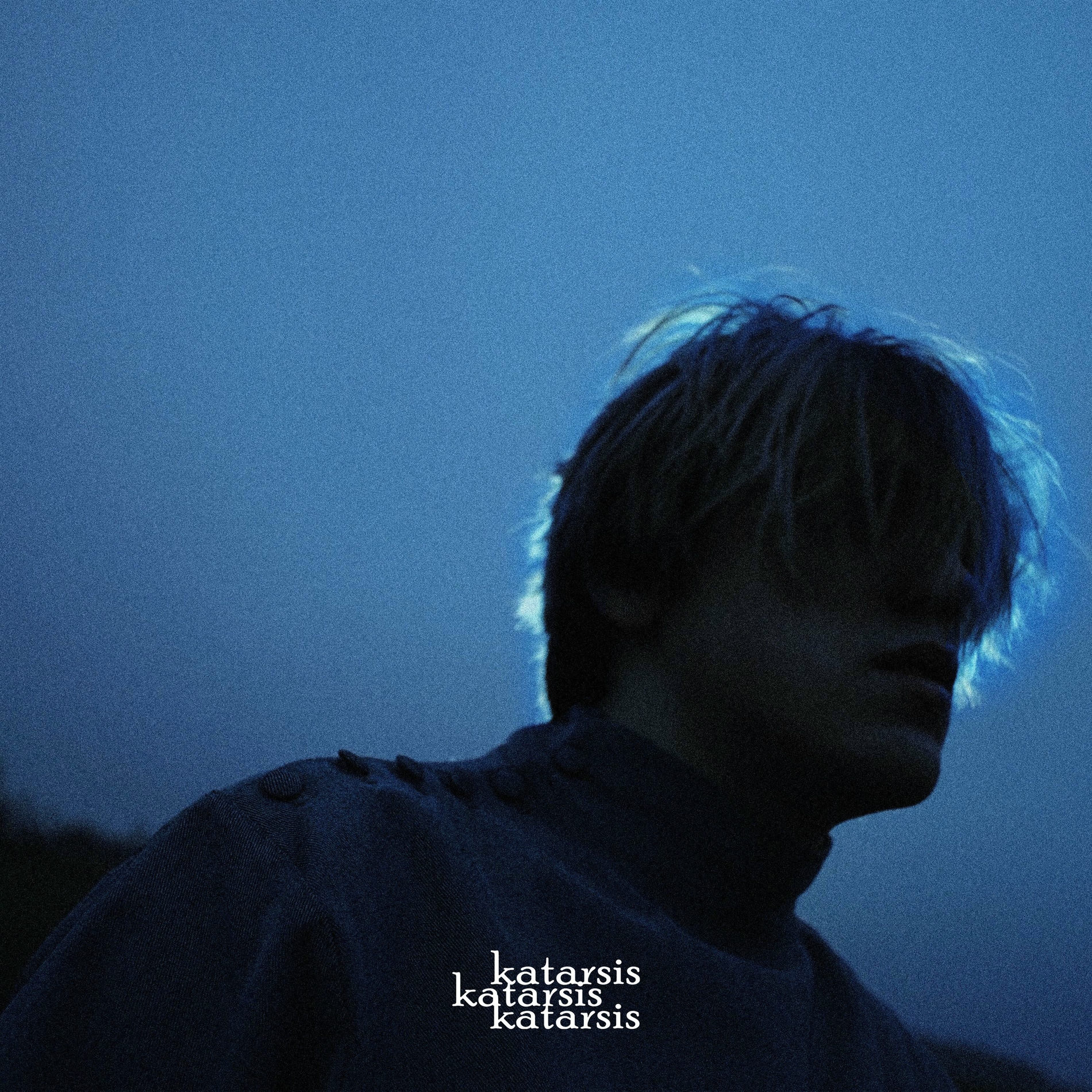 Artist picture of Katarsis