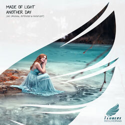 Picture of Made Of Light