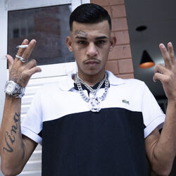 Picture of Mc Taygger SP