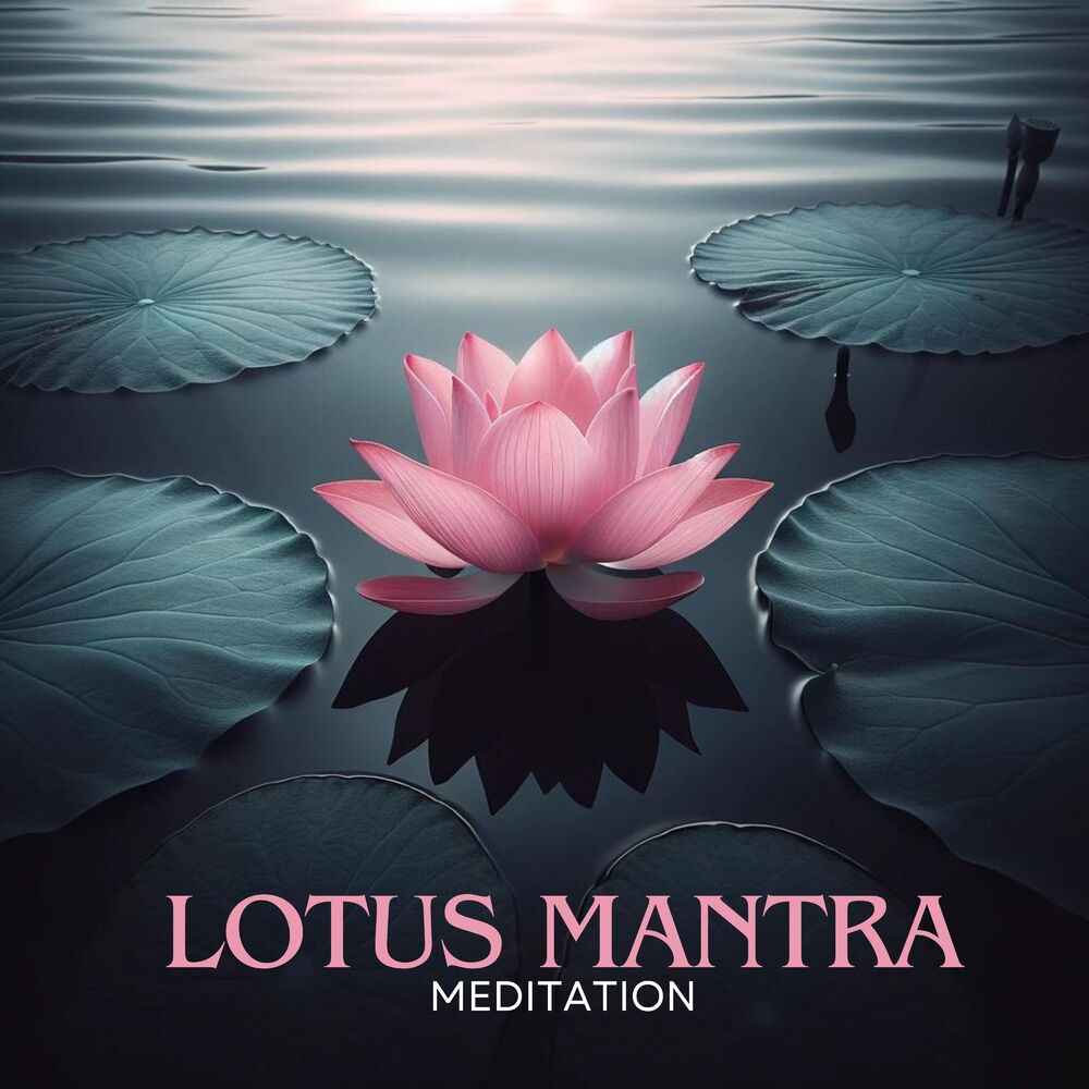 Picture of Mantra Music Center