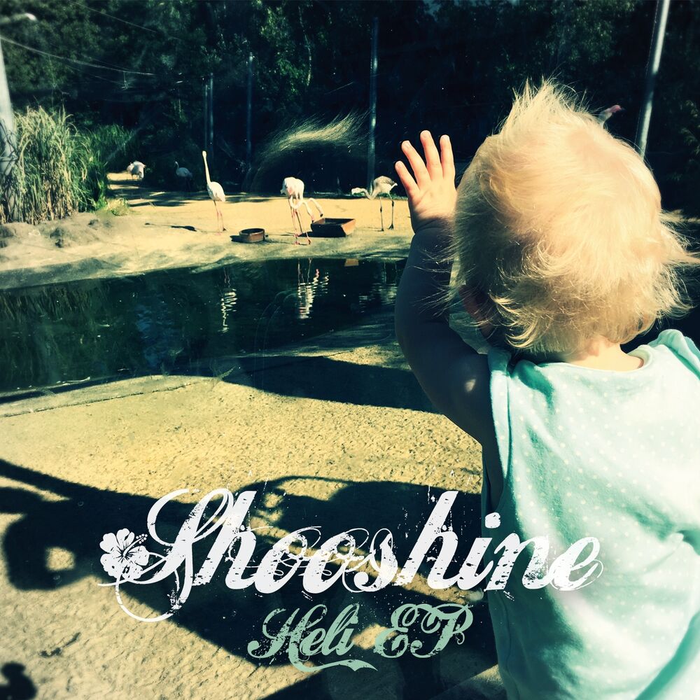 Picture of Shooshine