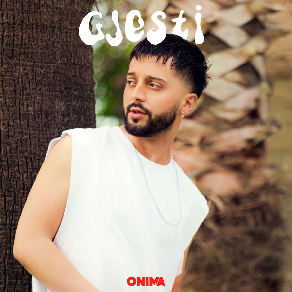 Artist picture of Gjesti