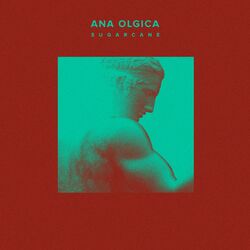 Picture of Ana Olgica