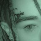 Meech20x50