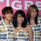Le Tigre
