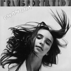 Picture of Chandra