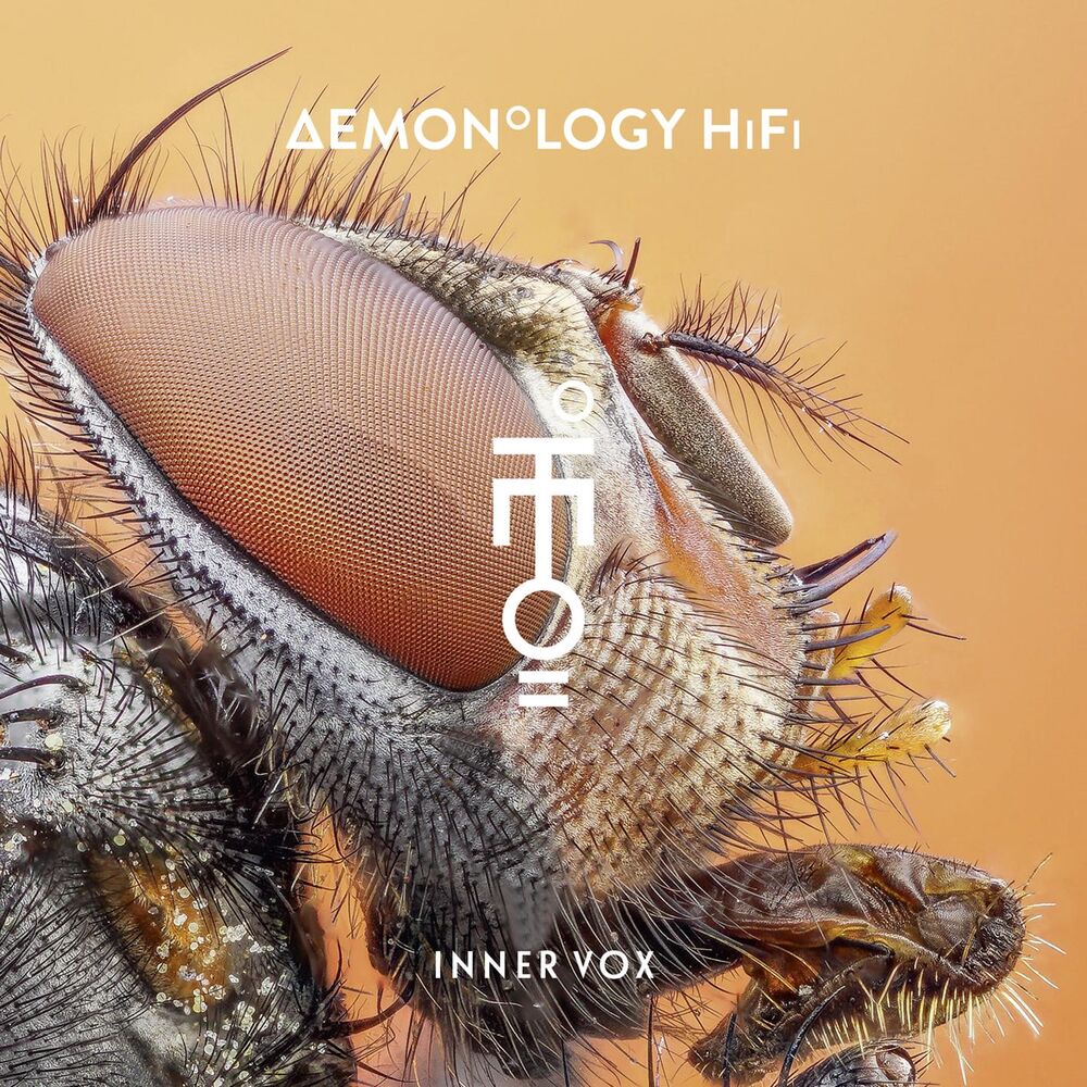 Picture of Demonology HiFi