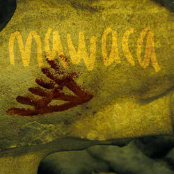 Picture of Mawaca