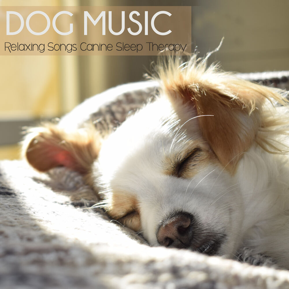 Picture of Dog Music Waves