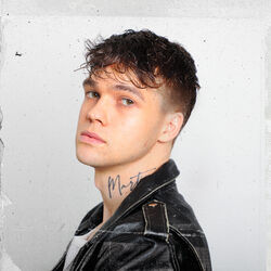 Picture of Mikolas Josef