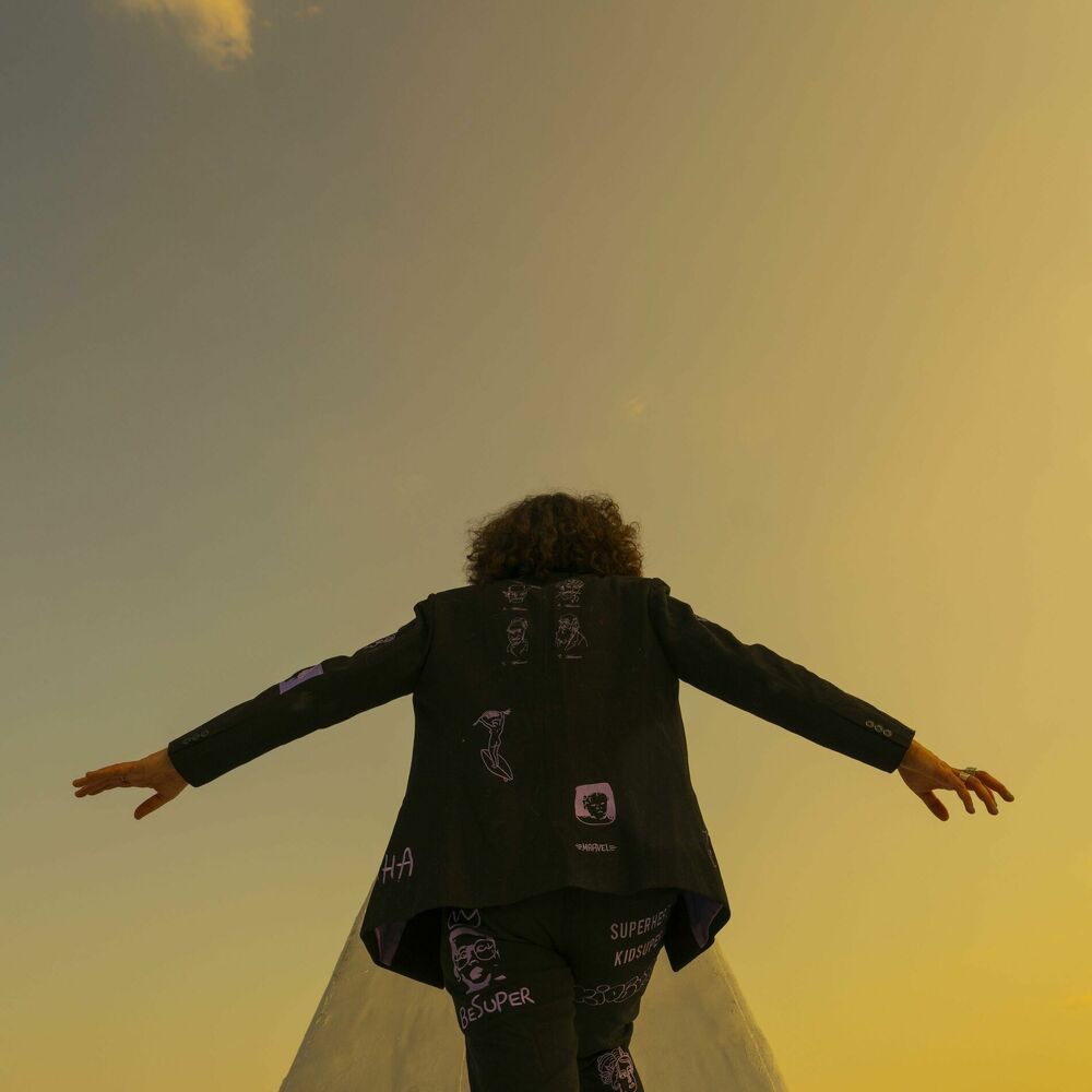 Picture of Moon Walker