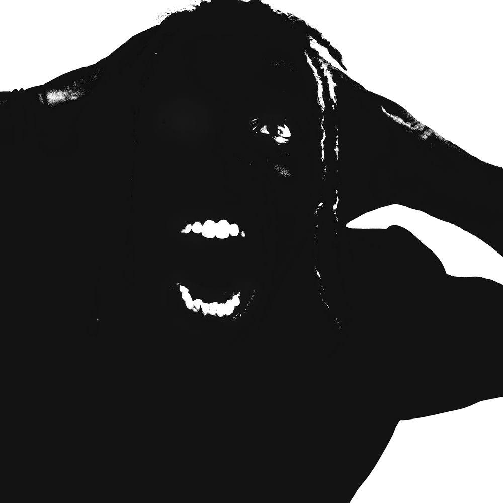 Photo de l'artiste Adieu Salvatore
