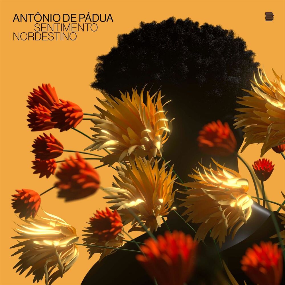 Picture of Antônio de Pádua