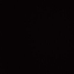 Picture of Dj Raay