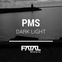 Picture of PMS