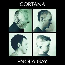 Picture of Enola Gay