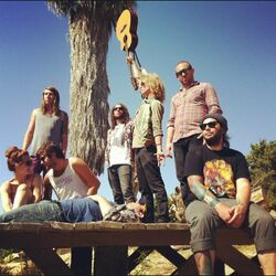 Picture of The Mowgli's